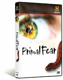 Обложка (Постер) Primal Fear (2008) Обложка (Постер) Primal Fear (2008)