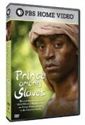 Обложка (Постер) Prince Among Slaves (2007) Обложка (Постер) Prince Among Slaves (2007)