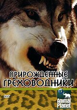 Обложка (Постер) Прирожденные греховодники / Animal Planet: Natural Born Sinners (2003) HDRip Обложка (Постер) Прирожденные греховодники / Animal Planet: Natural Born Sinners (2003) HDRip