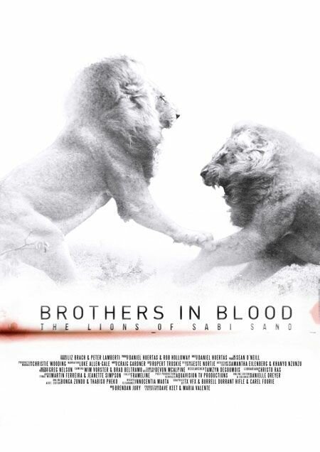 Обложка (Постер) Прирожденные короли / Brothers in Blood: The Lions of Sabi Sand (2015) HDRip