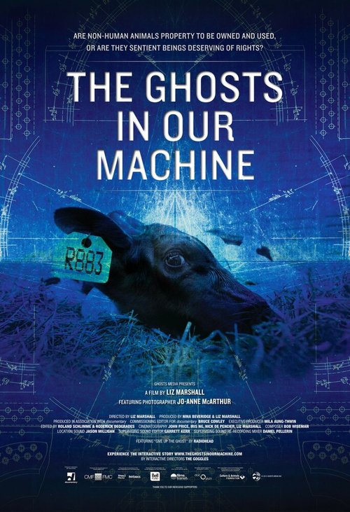 Обложка (Постер) Призраки в нашей машине / The Ghosts in Our Machine (2013) HDRip Обложка (Постер) Призраки в нашей машине / The Ghosts in Our Machine (2013) HDRip