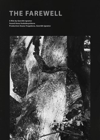 Обложка (Постер) Прощание (2020) HDRip