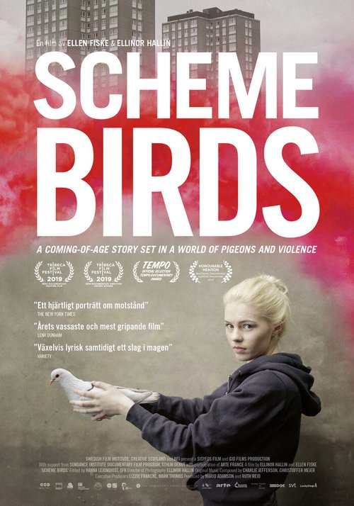 Обложка (Постер) Птички предместья / Scheme Birds (2019) HDRip
