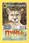 Обложка (Постер) Пумы: Львы Анд / Puma: Lion of the Andes (1996) HDRip