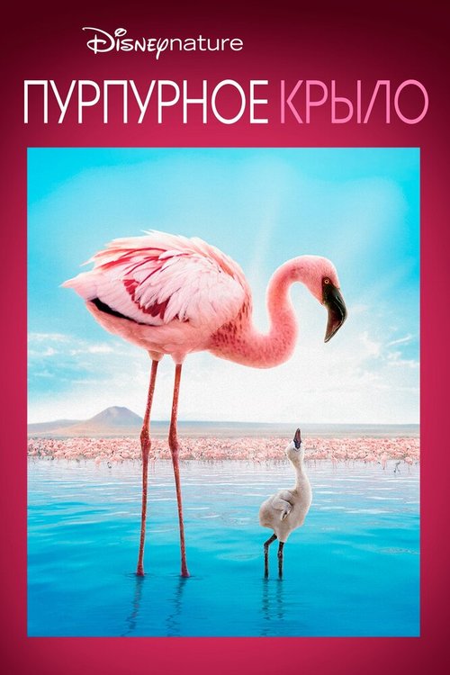 Обложка (Постер) Пурпурное крыло / The Crimson Wing: Mystery of the Flamingos (2008) HDRip Обложка (Постер) Пурпурное крыло / The Crimson Wing: Mystery of the Flamingos (2008) HDRip