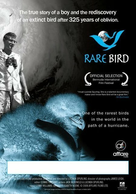 Обложка (Постер) Rare Bird (2006) HDRip Обложка (Постер) Rare Bird (2006) HDRip