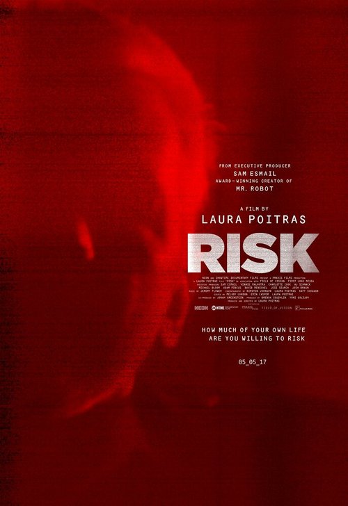 Обложка (Постер) Риск / Risk (2016) CAMRip Обложка (Постер) Риск / Risk (2016) CAMRip