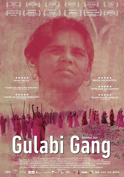 Обложка (Постер) Розовая банда / Gulabi Gang (2012) HDRip Обложка (Постер) Розовая банда / Gulabi Gang (2012) HDRip