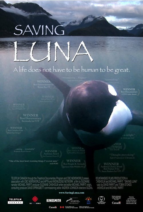 Обложка (Постер) Saving Luna (2007) HDRip Обложка (Постер) Saving Luna (2007) HDRip