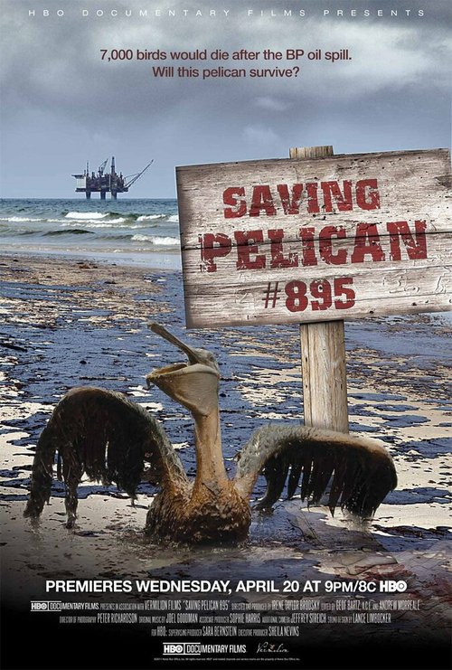 Обложка (Постер) Saving Pelican 895 (2011) HDRip Обложка (Постер) Saving Pelican 895 (2011) HDRip