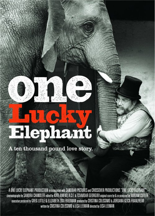 Обложка (Постер) Счастливая слониха / One Lucky Elephant (2010) HDRip Обложка (Постер) Счастливая слониха / One Lucky Elephant (2010) HDRip