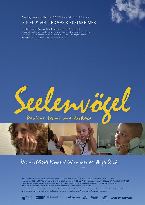 Обложка (Постер) Seelenvögel (2009) Обложка (Постер) Seelenvögel (2009)