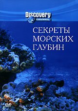 Обложка (Постер) Секреты морских глубин (1998) HDRip