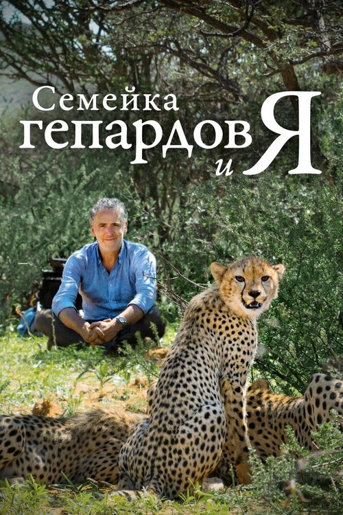 Обложка (Постер) Семейка гепардов и я / Cheetah Family & Me (2021) HDRip Обложка (Постер) Семейка гепардов и я / Cheetah Family & Me (2021) HDRip