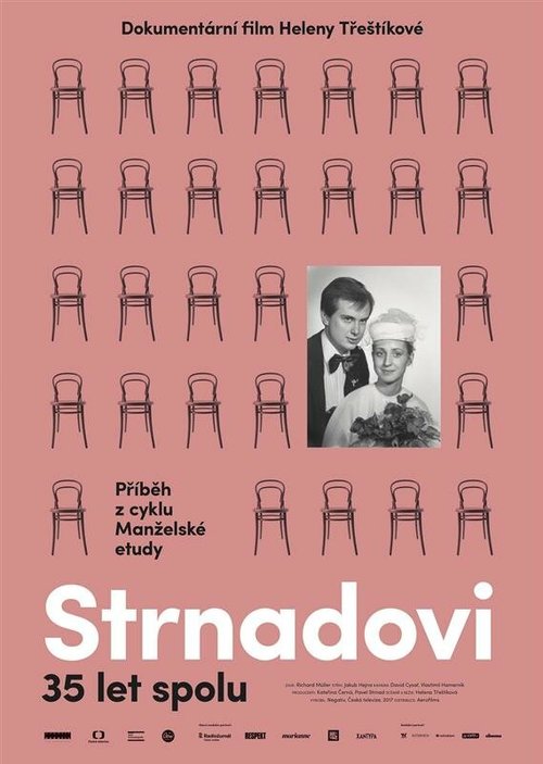 Обложка (Постер) Семейная история / Strnadovi (2017) HDRip