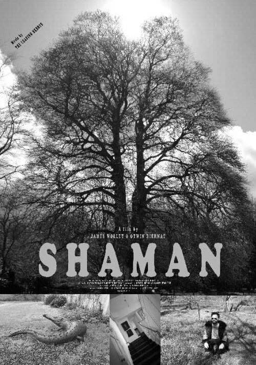 Обложка (Постер) Shaman (2020) 