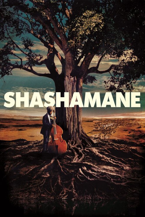 Обложка (Постер) Shashamane (2016) CAMRip Обложка (Постер) Shashamane (2016) CAMRip