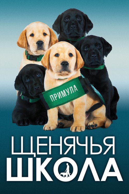 Обложка (Постер) Щенячья школа / Pick of the Litter (2018) HDRip