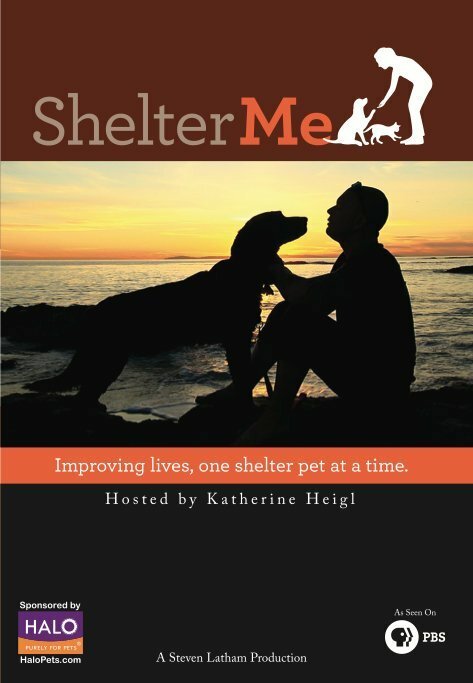 Обложка (Постер) Shelter Me (2012) HDRip Обложка (Постер) Shelter Me (2012) HDRip