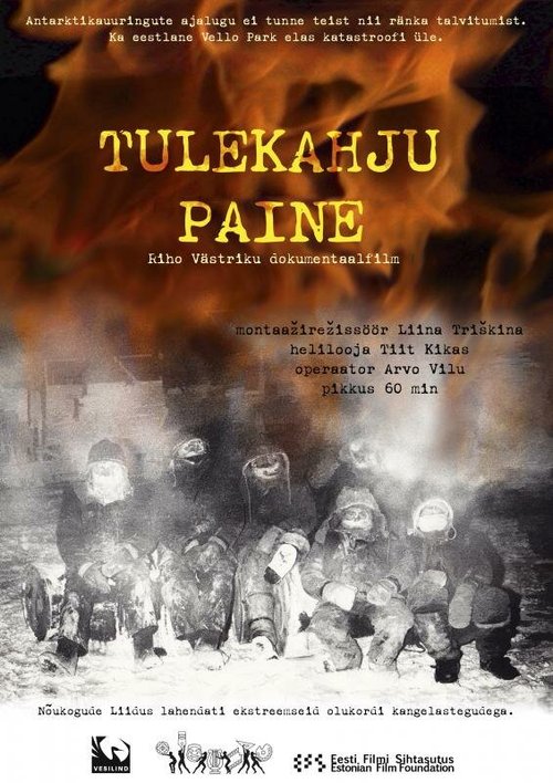 Обложка (Постер) Шрамы пожара / Tulekahju paine (2013) HDRip Обложка (Постер) Шрамы пожара / Tulekahju paine (2013) HDRip