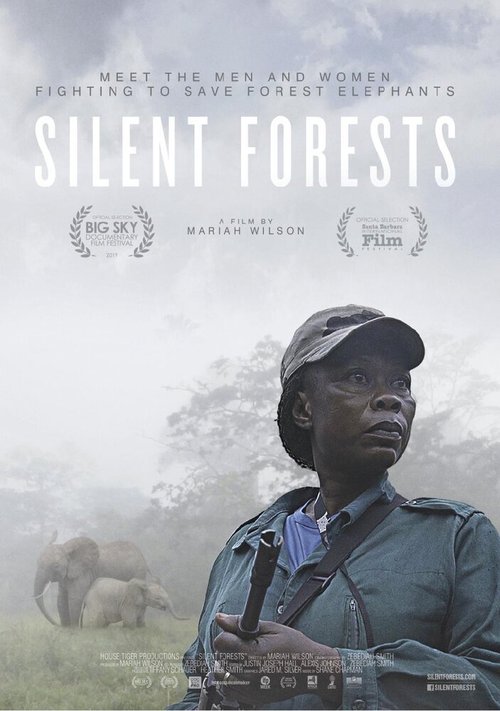 Обложка (Постер) Silent Forests (2019) HDRip
