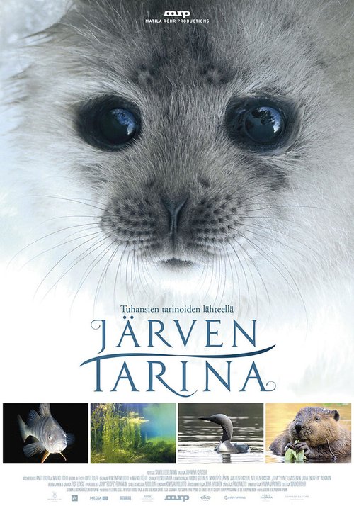 Обложка (Постер) Сказка озера / Järven tarina (2016) CAMRip Обложка (Постер) Сказка озера / Järven tarina (2016) CAMRip