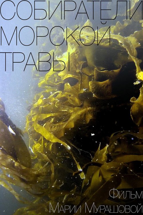 Обложка (Постер) Собиратели морской травы (2016) CAMRip Обложка (Постер) Собиратели морской травы (2016) CAMRip