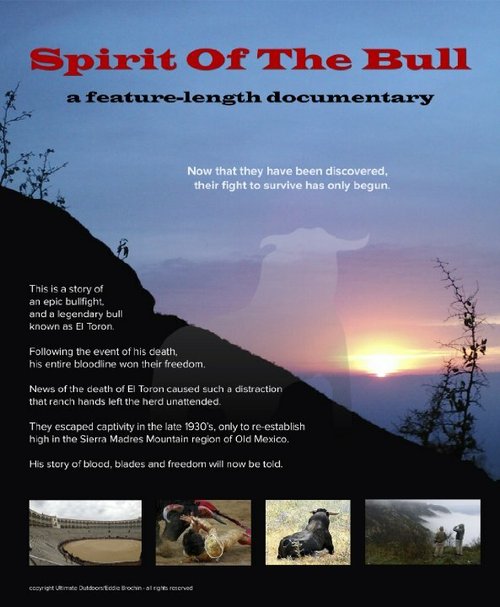 Обложка (Постер) Spirit of the Bull  