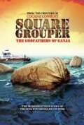 Обложка (Постер) Square Grouper (2011) HDRip Обложка (Постер) Square Grouper (2011) HDRip