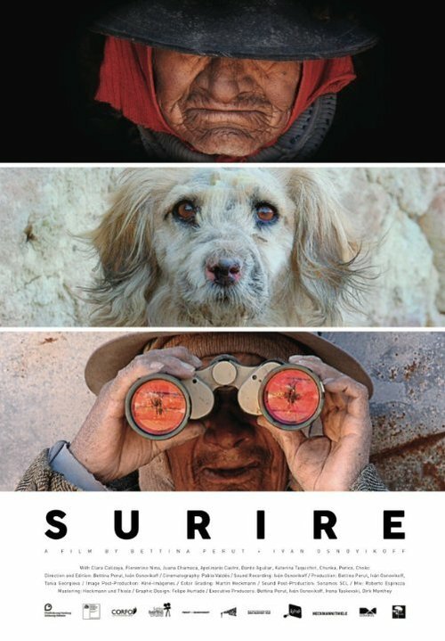Обложка (Постер) Сурире / Surire (2015) HDRip Обложка (Постер) Сурире / Surire (2015) HDRip