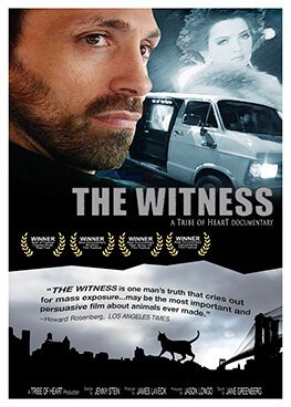 Обложка (Постер) Свидетель / The Witness (2000) HDRip