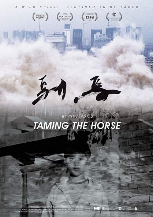Обложка (Постер) Taming the Horse (2017) HDRip