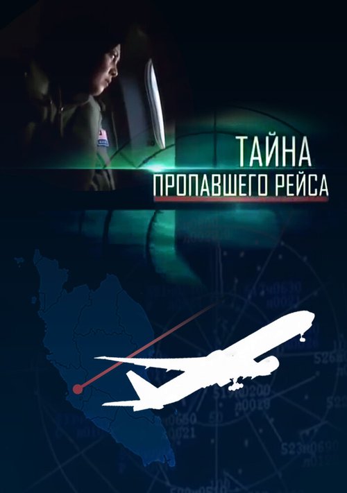 Обложка (Постер) Тайна пропавшего рейса (2014) Обложка (Постер) Тайна пропавшего рейса (2014)