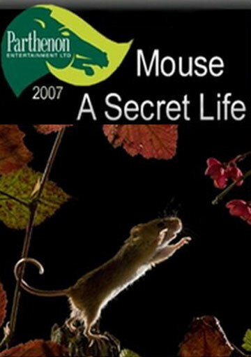 Обложка (Постер) Тайная жизнь мышей / Mouse: A Secret Life (2007) HDRip Обложка (Постер) Тайная жизнь мышей / Mouse: A Secret Life (2007) HDRip