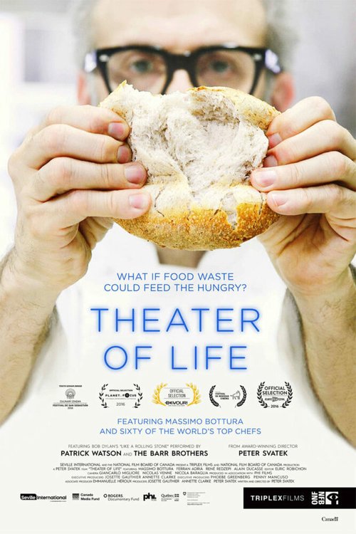 Обложка (Постер) Театр жизни / Theater of Life (2016) CAMRip Обложка (Постер) Театр жизни / Theater of Life (2016) CAMRip