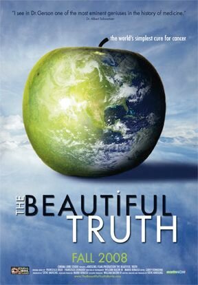 Обложка (Постер) The Beautiful Truth (2008) HDRip