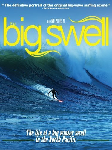 Обложка (Постер) The Big Swell (2004) HDRip