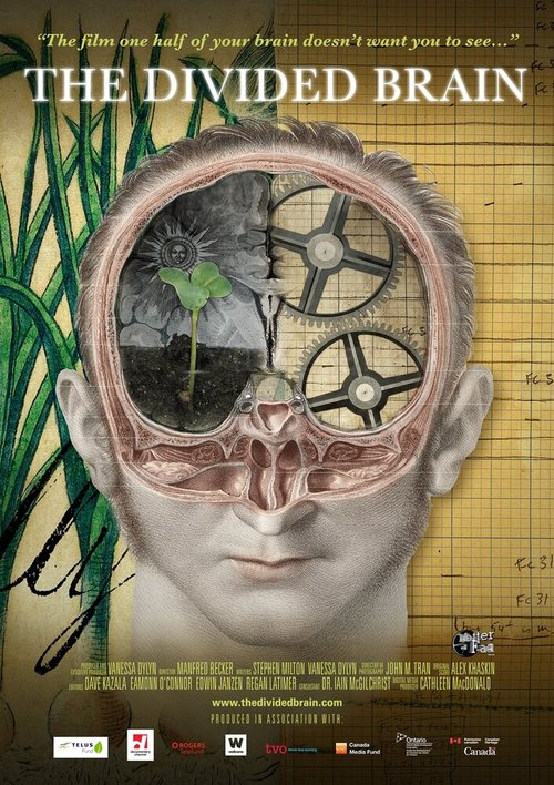 Обложка (Постер) The Divided Brain (2019) HDRip