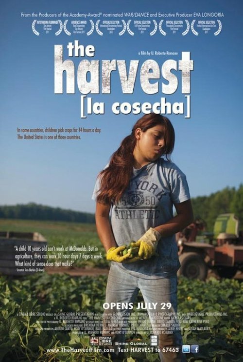Обложка (Постер) The Harvest/La Cosecha (2011) HDRip Обложка (Постер) The Harvest/La Cosecha (2011) HDRip
