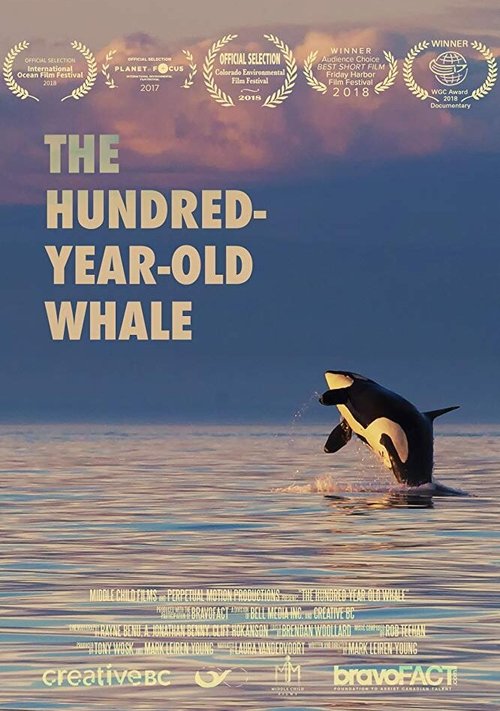 Обложка (Постер) The Hundred Year Old Whale (2017) Обложка (Постер) The Hundred Year Old Whale (2017)