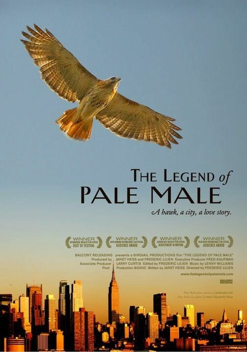 Обложка (Постер) The Legend of Pale Male (2009) HDRip