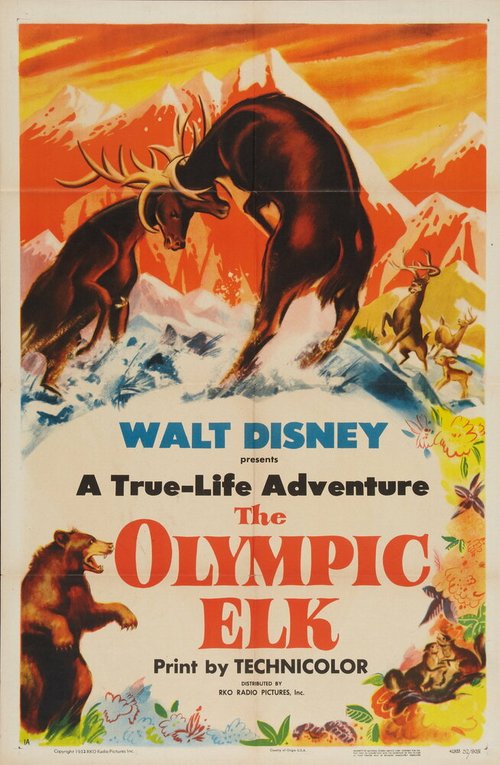 Обложка (Постер) The Olympic Elk (1952) SATRip