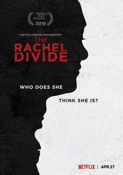 Обложка (Постер) The Rachel Divide (2018) HDRip