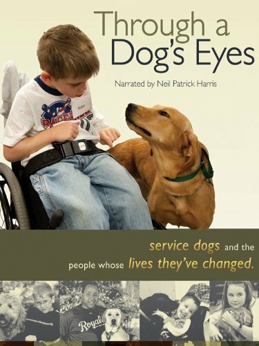 Обложка (Постер) Through a Dog's Eyes (2010) HDRip Обложка (Постер) Through a Dog's Eyes (2010) HDRip