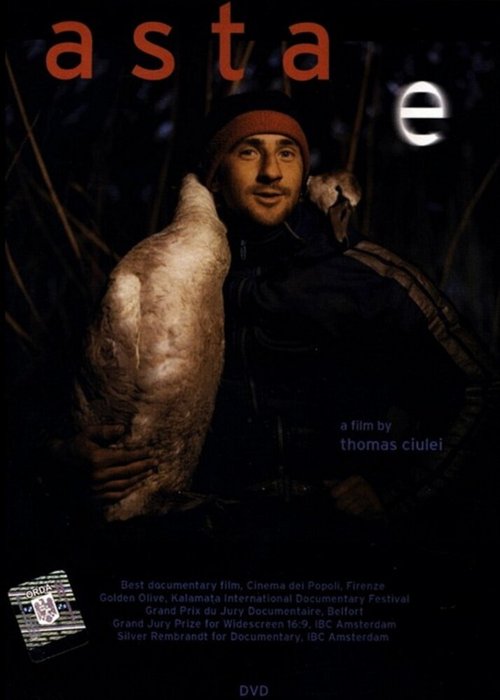 Обложка (Постер) То, что это / Asta e (2001) HDRip