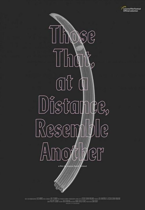 Обложка (Постер) То, что на расстоянии напоминает другое / Those That, at a Distance, Resemble Another (2019) HDRip