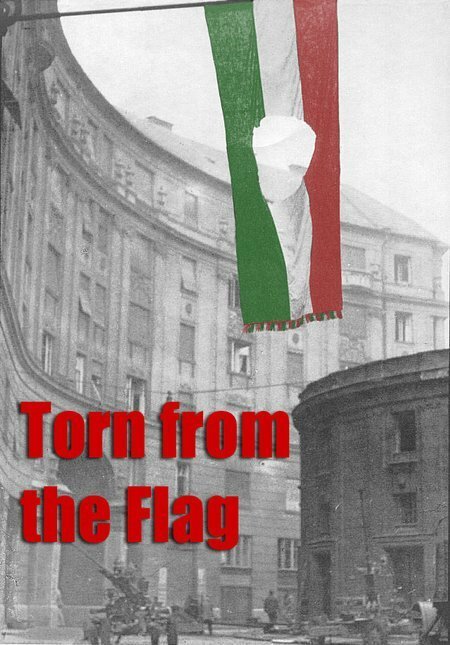 Обложка (Постер) Torn from the Flag: A Film by Klaudia Kovacs (2007) HDRip Обложка (Постер) Torn from the Flag: A Film by Klaudia Kovacs (2007) HDRip