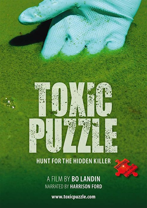 Обложка (Постер) Toxic Puzzle (2017) HDRip Обложка (Постер) Toxic Puzzle (2017) HDRip
