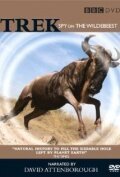 Обложка (Постер) Trek: Spy on the Wildebeest (2007) HDRip Обложка (Постер) Trek: Spy on the Wildebeest (2007) HDRip