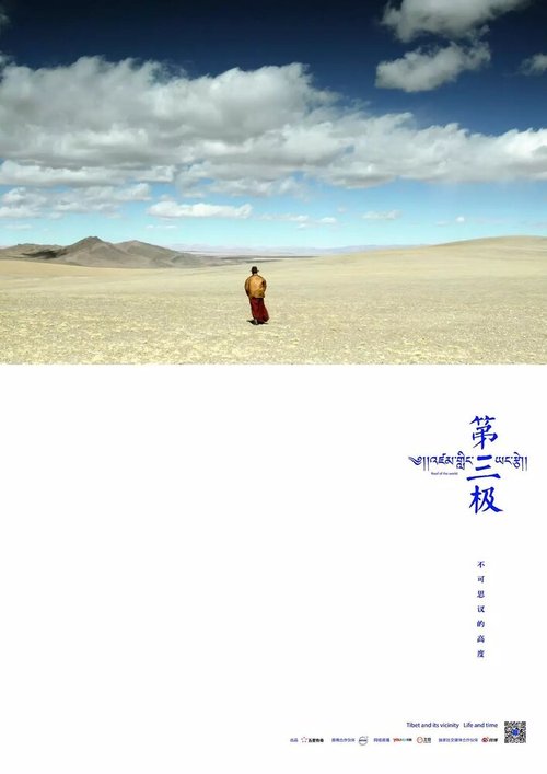 Обложка (Постер) Третий полюс / Di san ji (2013) HDRip
